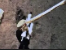 1689901619976.png